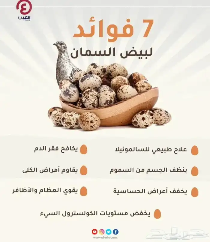 بيض سمان للاكل 3