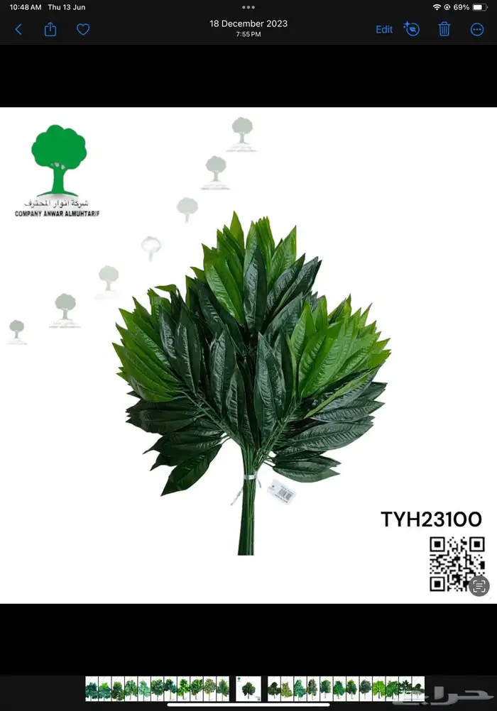 شجر سنايع ورد أي نوع فصل انشاءالله 5