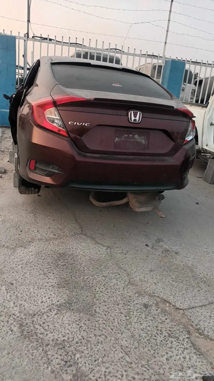 سفك. هوندا 1