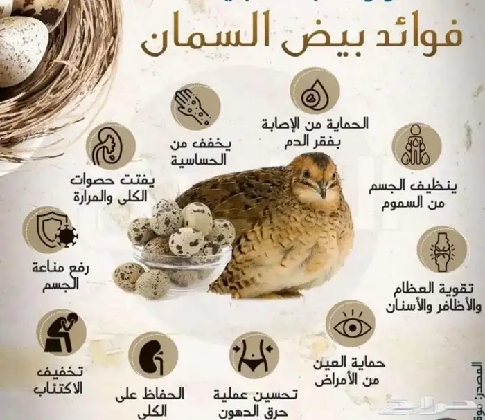 بيض سمان للاكل 4