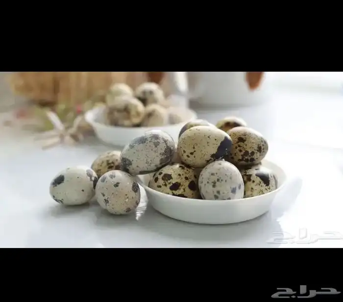 بيض سمان للاكل 1