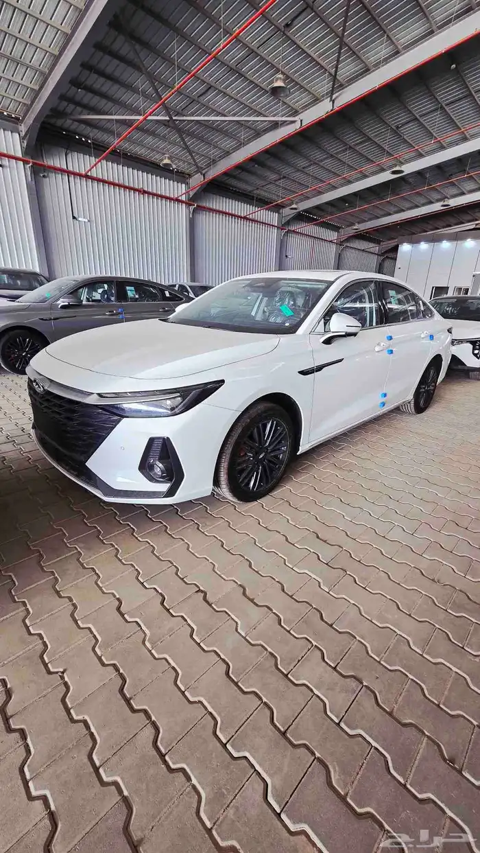 شيري اريزو 8 كمفورت 2025 1