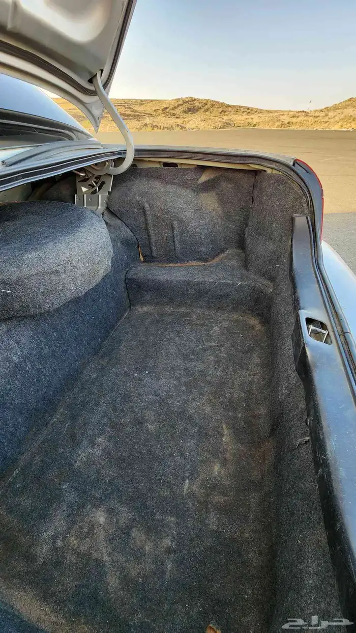 ماركيز كندي معدل 12