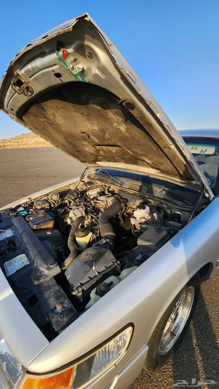 ماركيز كندي معدل 8