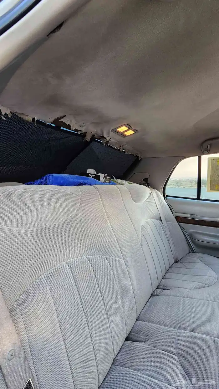 ماركيز كندي معدل 19