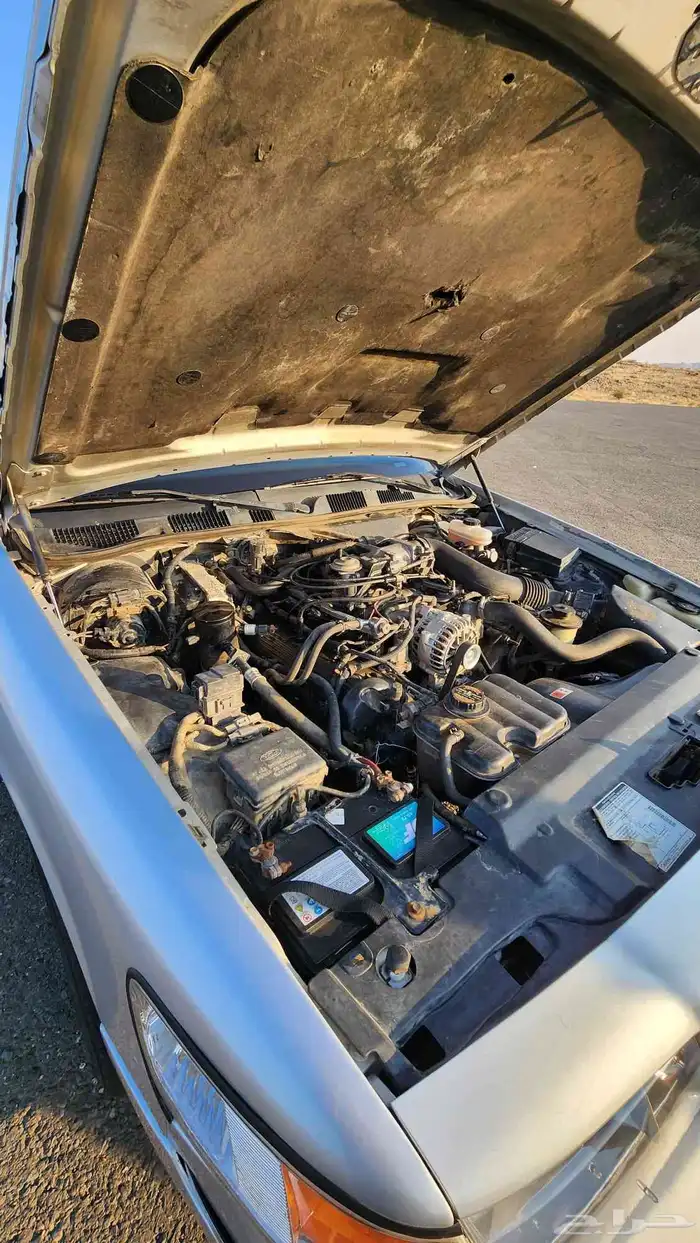 ماركيز كندي معدل 7