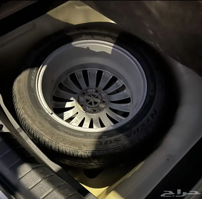 كادينزا 2018 4