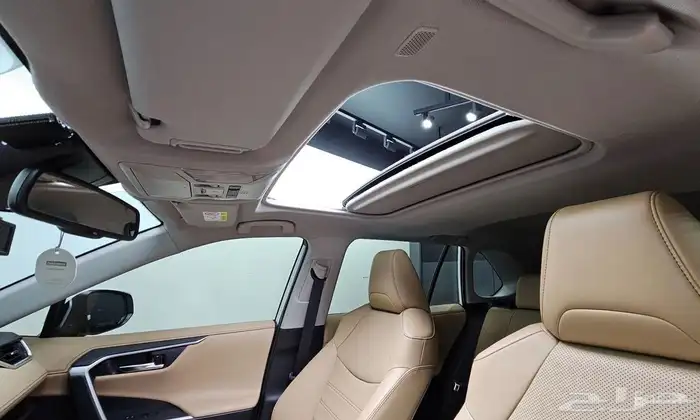 Toyota RAV4 Hybrid 2.5 4WD Limited 19