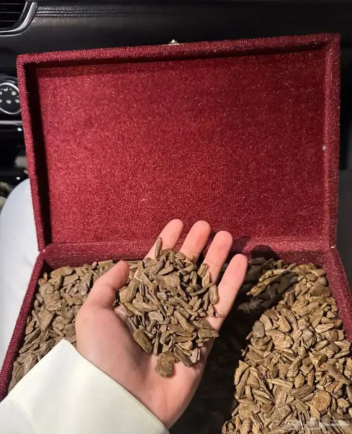 عود دقه موروكي طبيعي محسن 0