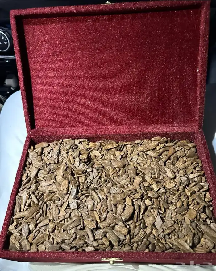 عود دقه موروكي طبيعي محسن 1