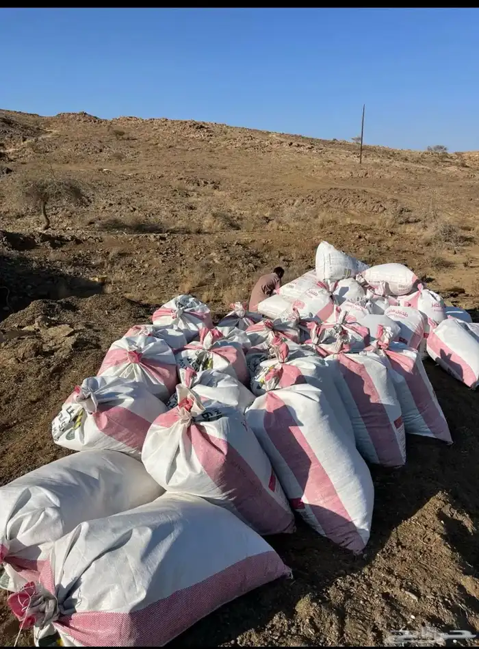 للبيع سماد غنم نضيف 0