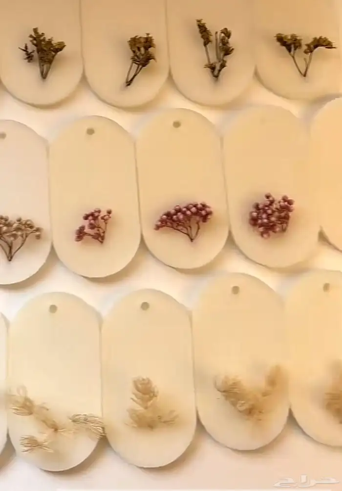 توزيعات حسب المناسبه 95