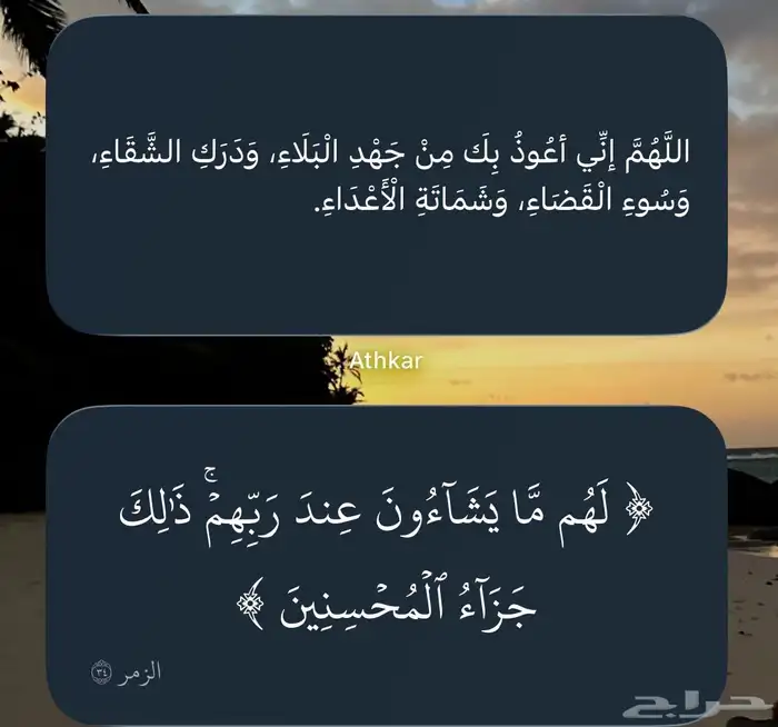 أبحث عن عمل 8