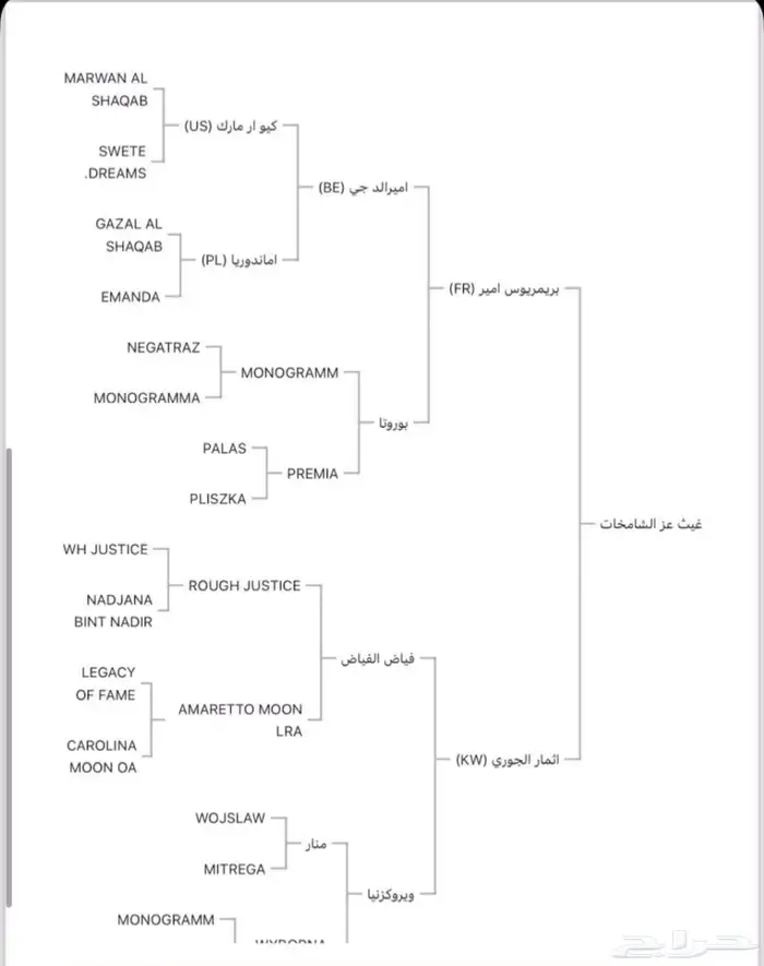 حصان واهو للبيع 4