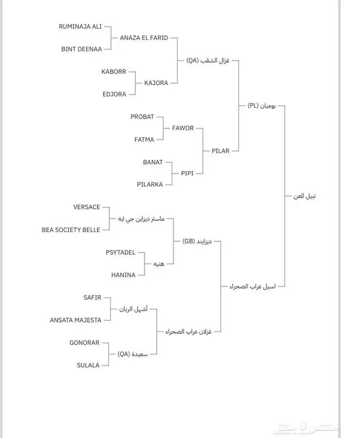 مهر واهو للبيع لأخر سوم 3