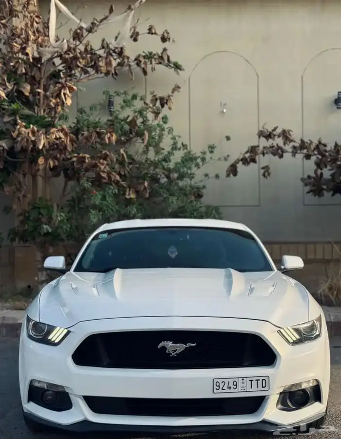 موستنج GT قير عادي 2015 ممشى قليل 0