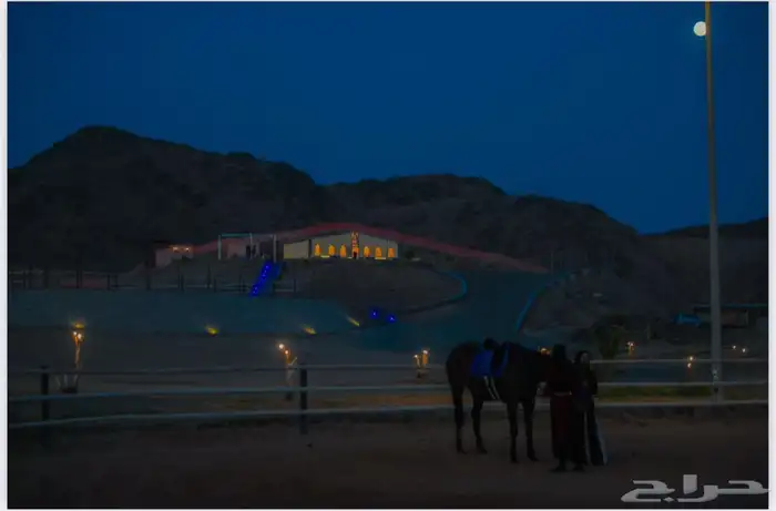 مربط أميراس لإيواء الخيل 1