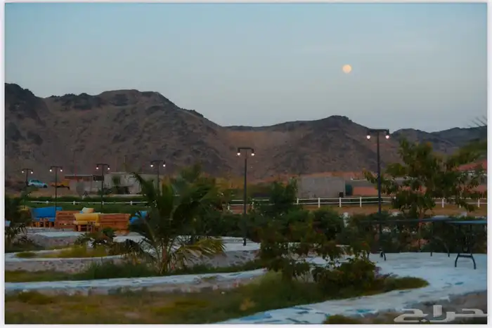 مربط أميراس لإيواء الخيل 0