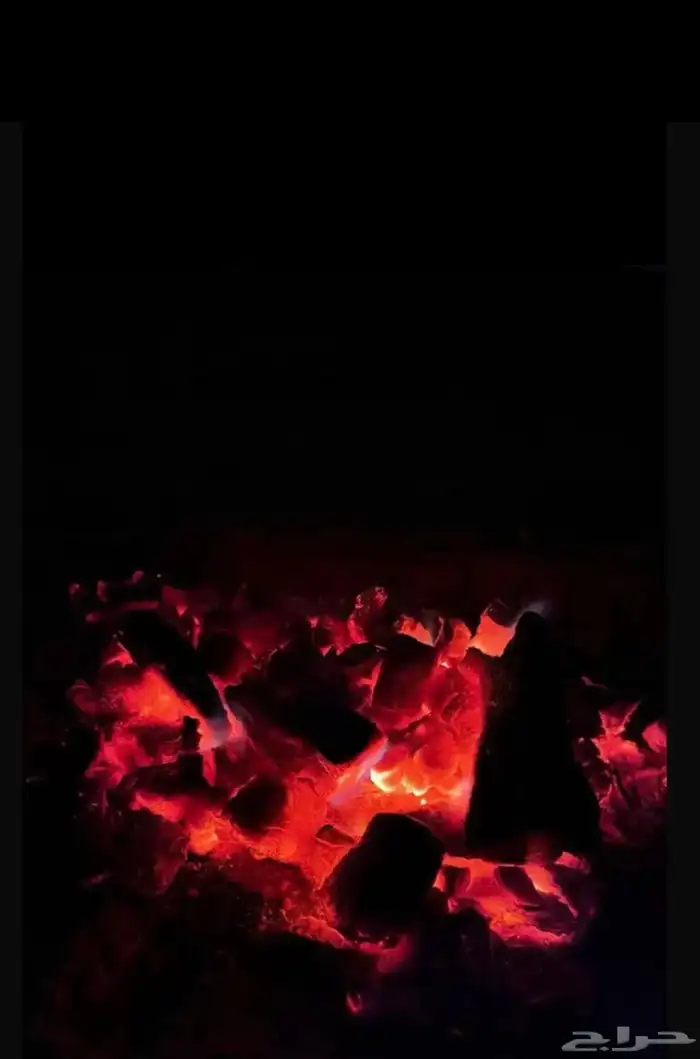 حطب سمر أفريقي أفريقي 1