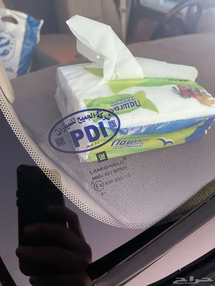 جمس يوكن (قمه بنظافة) 13