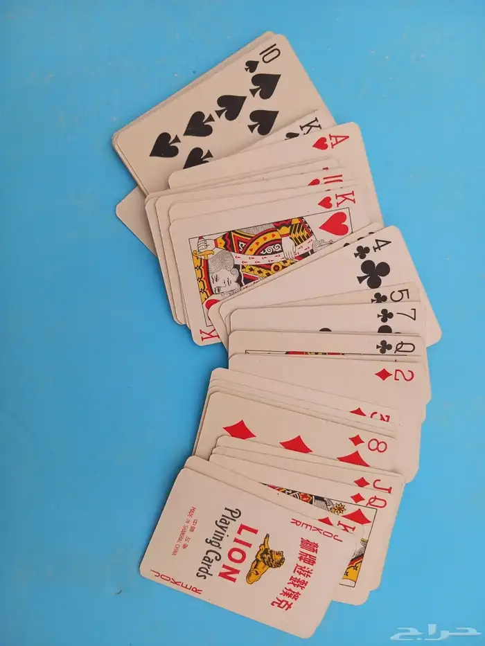 كوتشينه بو اسد 3