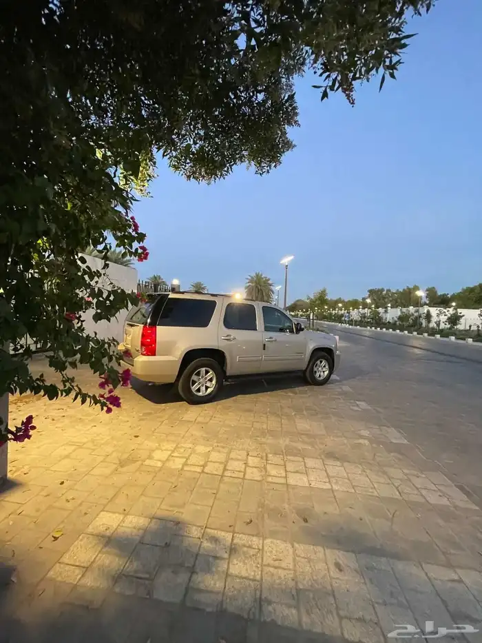 جمس يوكن (قمه بنظافة) 16