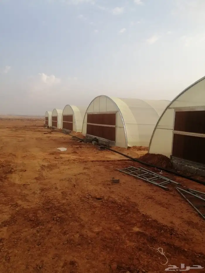 بيع وتركيب بيوت محمية وصالات زراعية وجميع مستلزماتها 1
