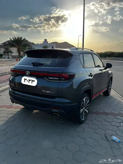 شانجان 2023 index