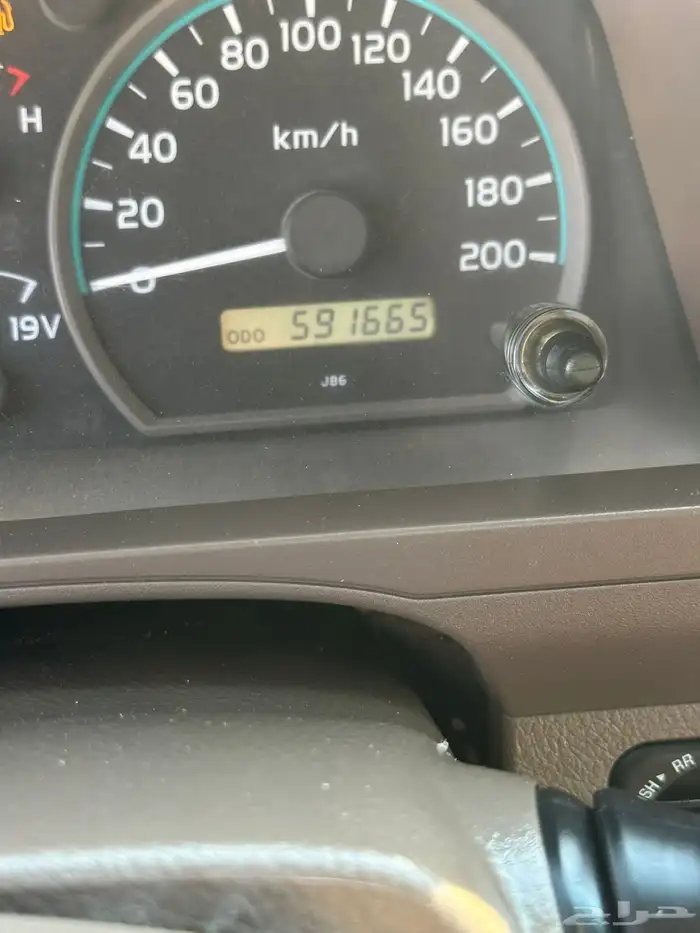 شاص 2016 شد بلد  دفلك رفرف 0