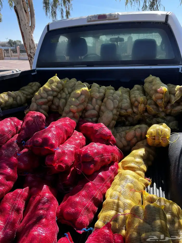 توصيل بصل وببطاس مطاعم جمله 1