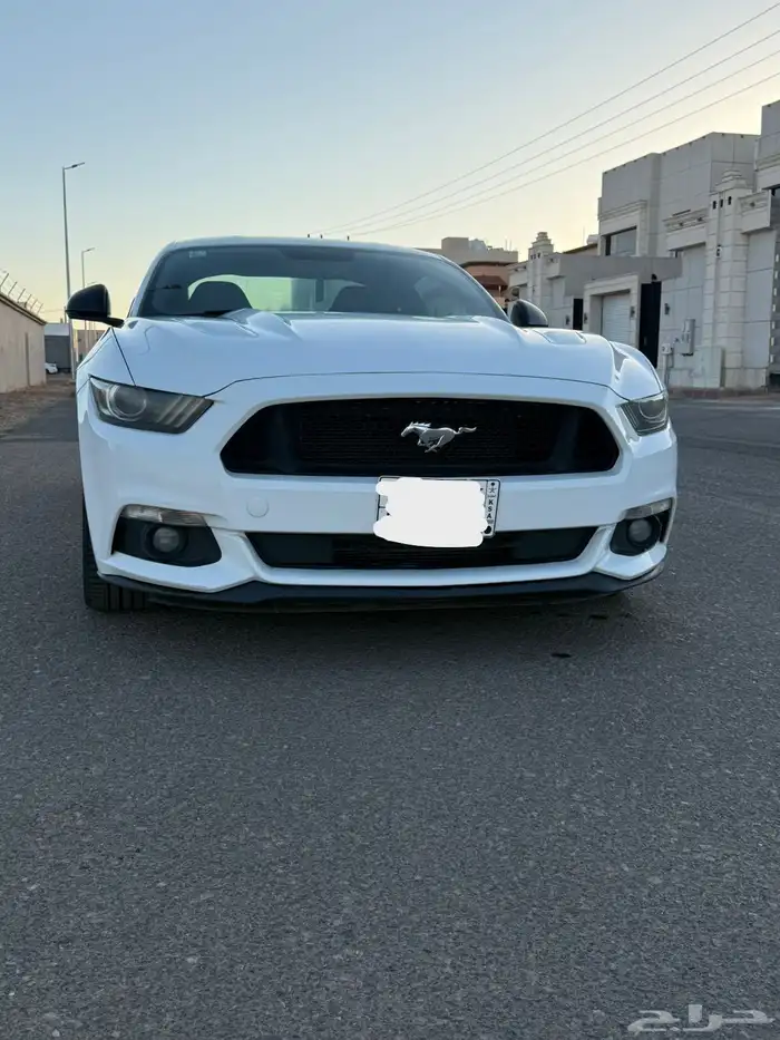 للبيع موستنج 2015 6