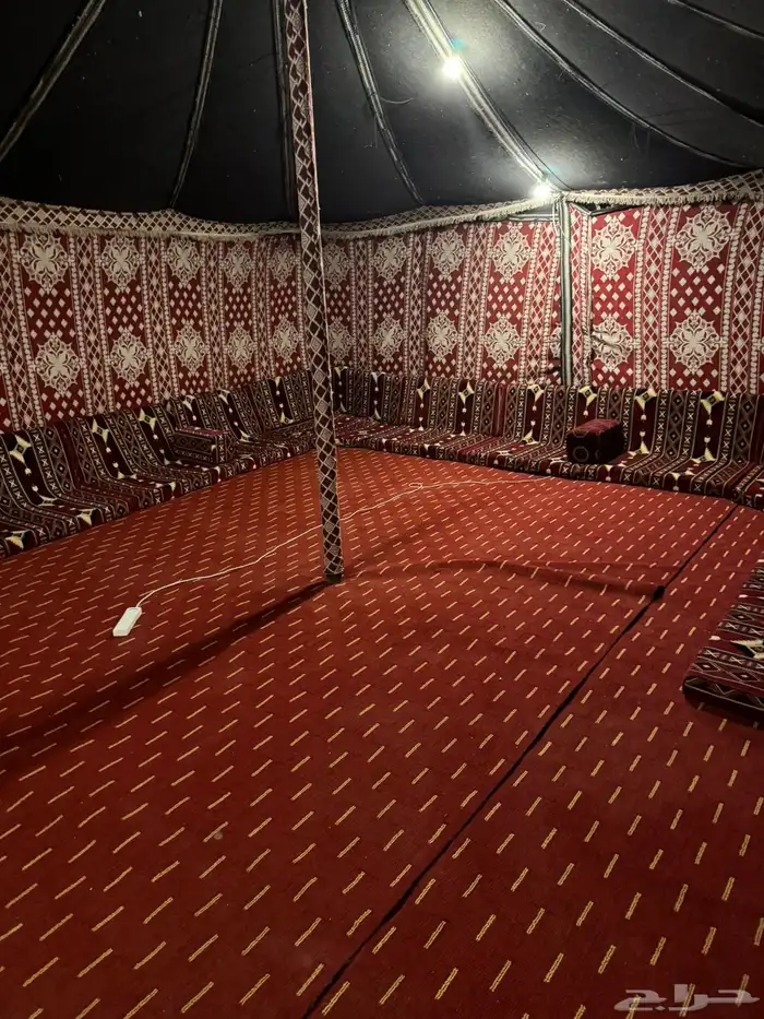 مخيم الايجار 14