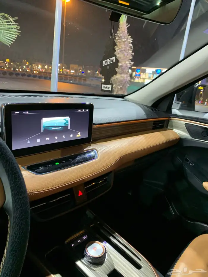 هافال جوليان 2023 ماشي 77 الف (تم البيع) 13