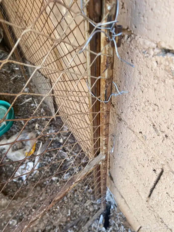 للبيع شبك مع صطول مقاس مترين في مترين 1