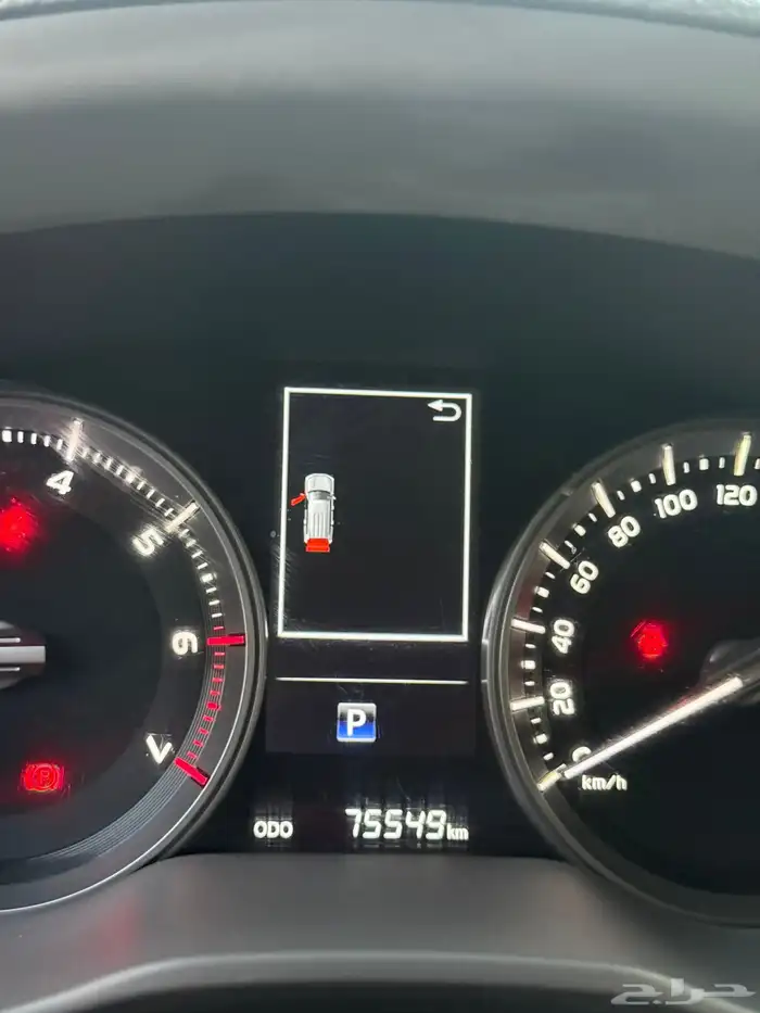 جكسار تورنق 2019 .. 26