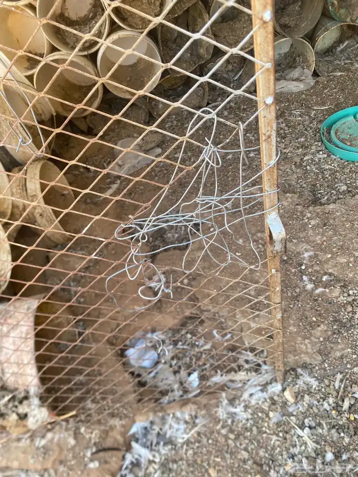 للبيع شبك مع صطول مقاس مترين في مترين 4