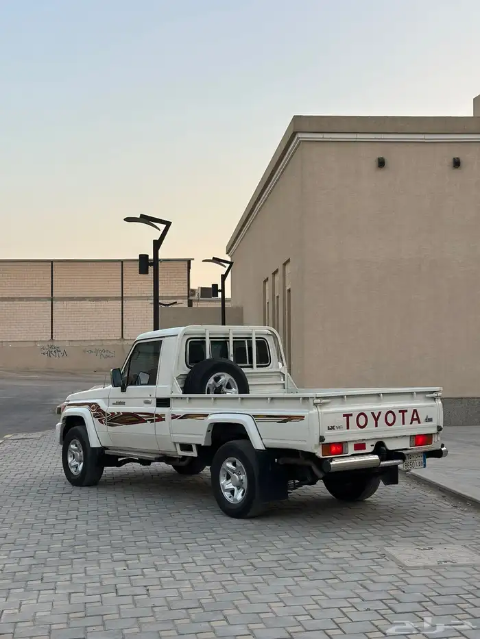 شاص رفرف 2015 12