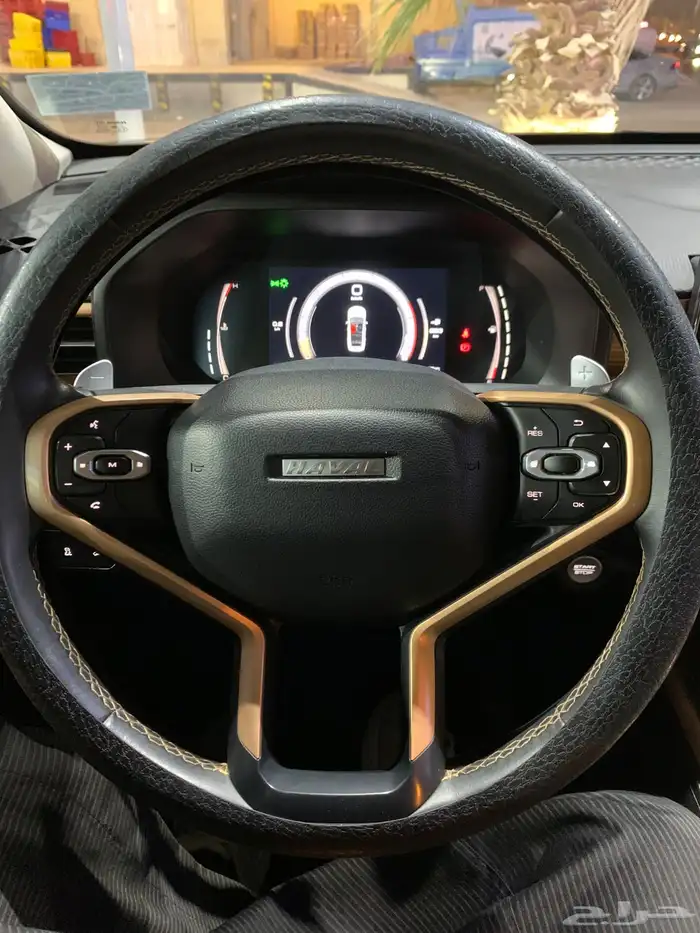 هافال جوليان 2023 ماشي 77 الف (تم البيع) 10