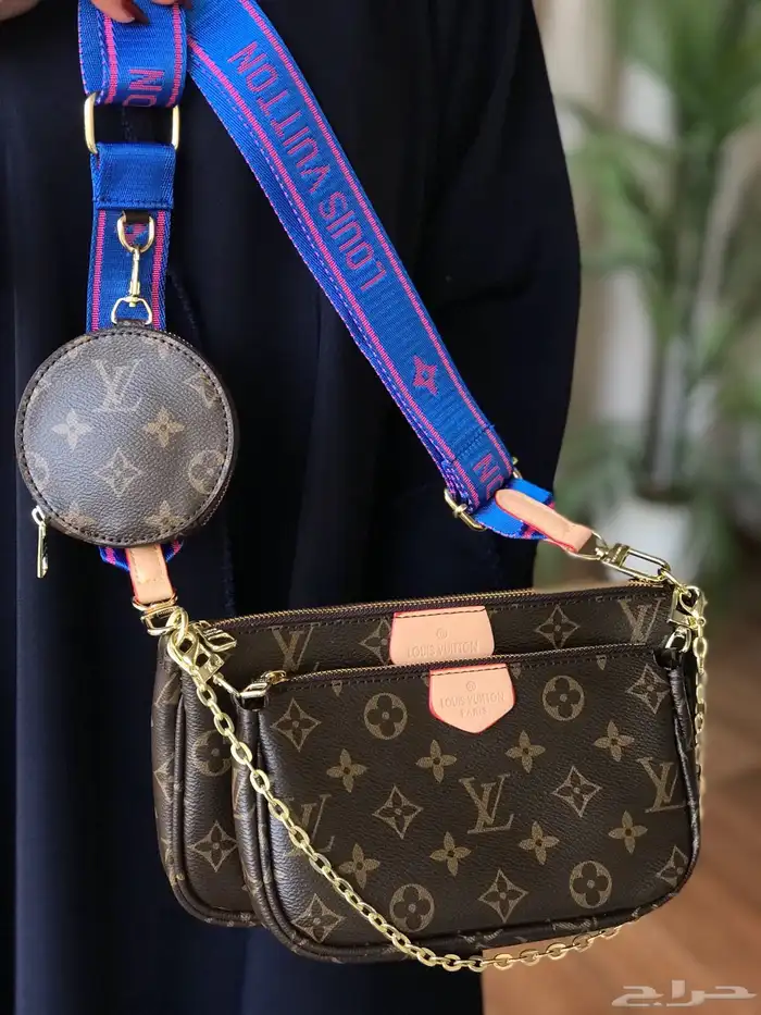 شنط لويس فيتون 17