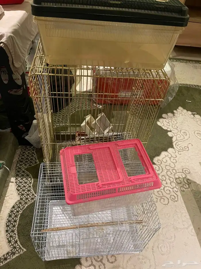 اغراض قطط و أقفاص طيور 1