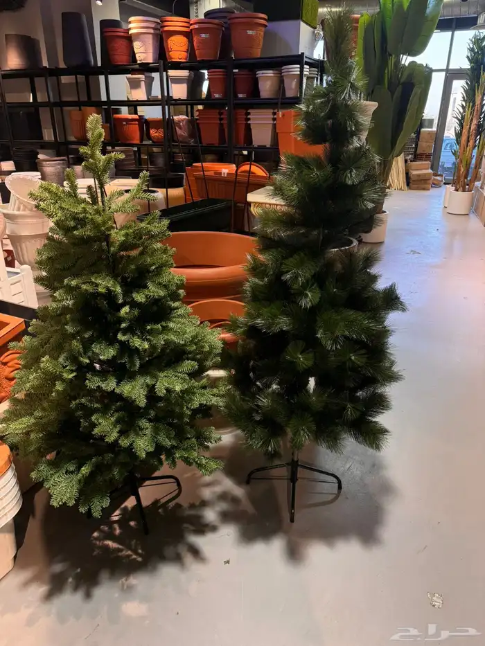 شجر سنايع ورد أي نوع فصل انشاءالله 12