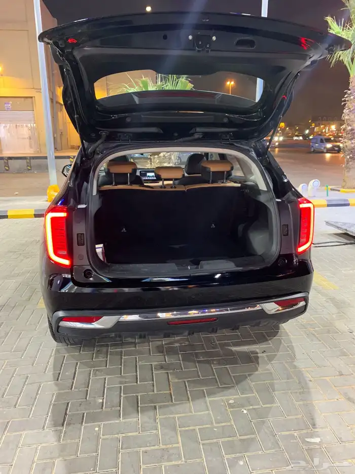 هافال جوليان 2023 ماشي 77 الف (تم البيع) 23