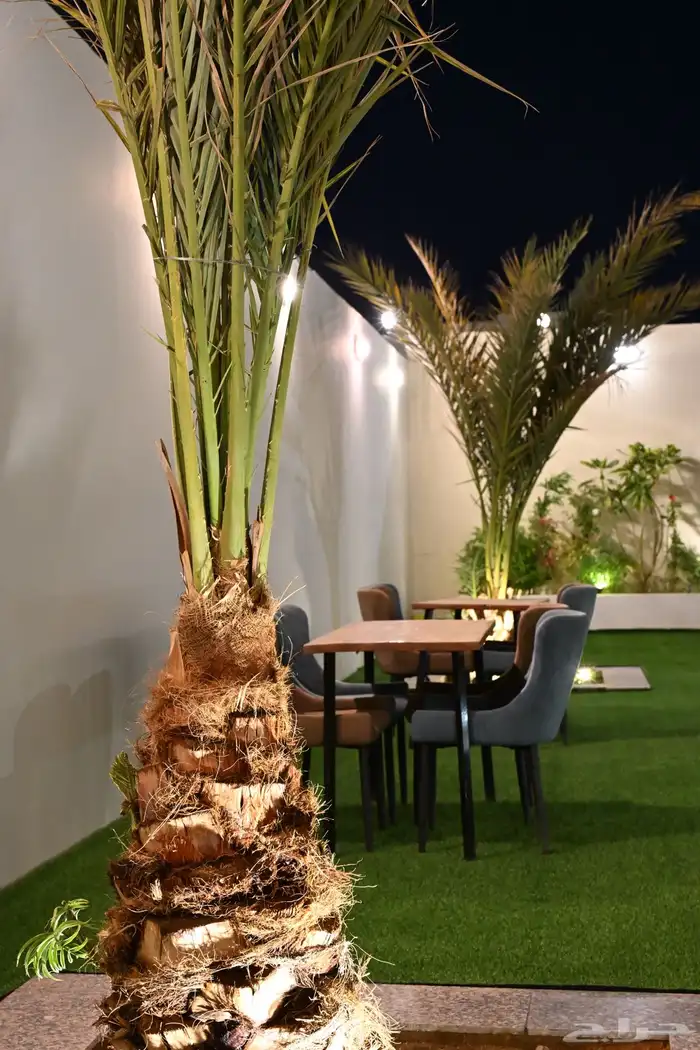 شاليهات فلورا  يلا للإيجار اليومي 36