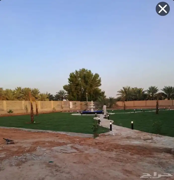 تنسيق جداري 4