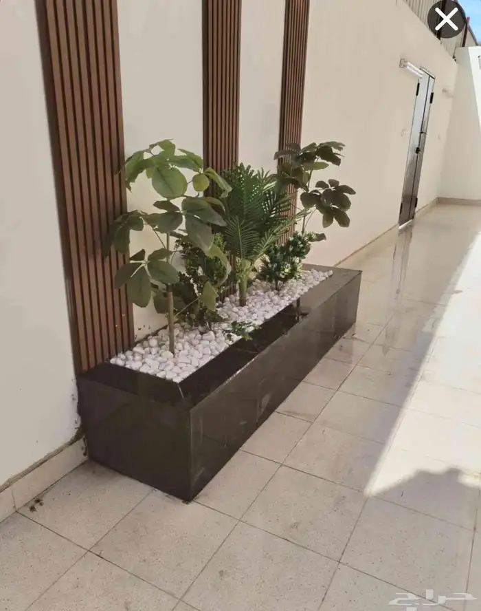 تنسيق جداري 6