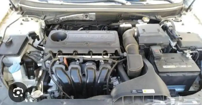 مكينه سبورتاج. 2012 2014 2015 2016 2017 2018 2019 0