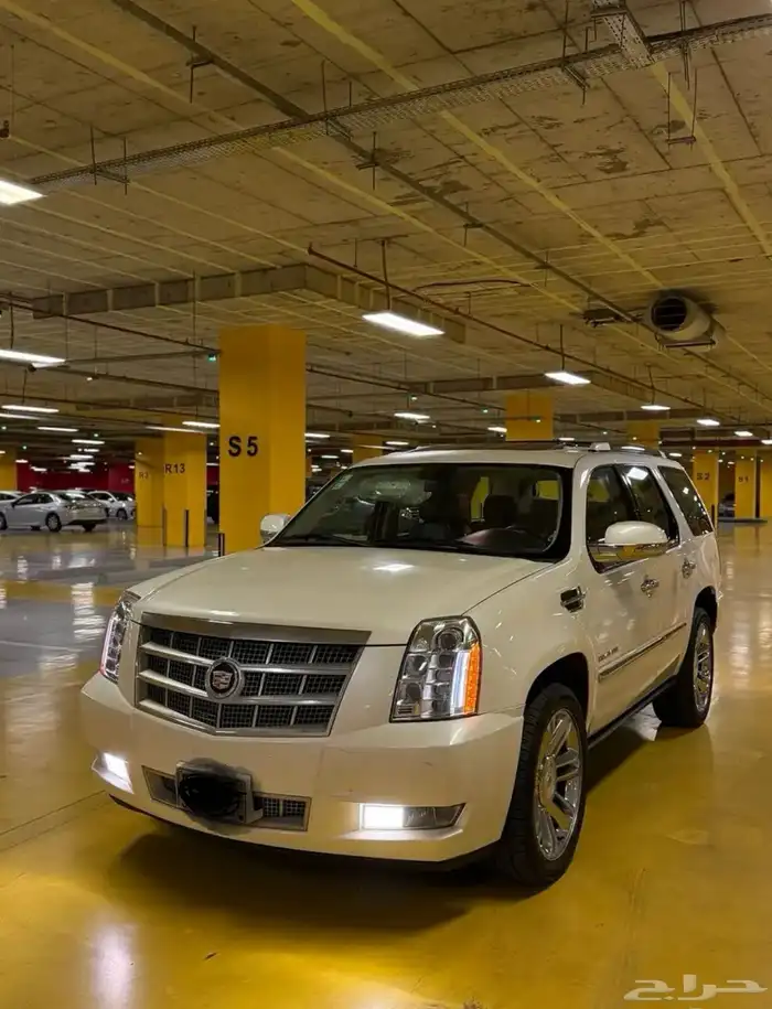 كاديلاك اسكاليد بلاتنيوم 2014 12