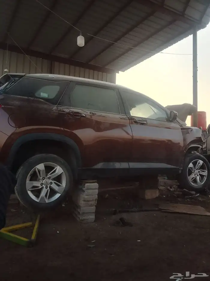 كابتيفيا 2021 0