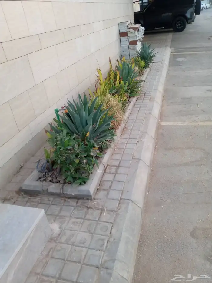 تنسيق حدائق 3