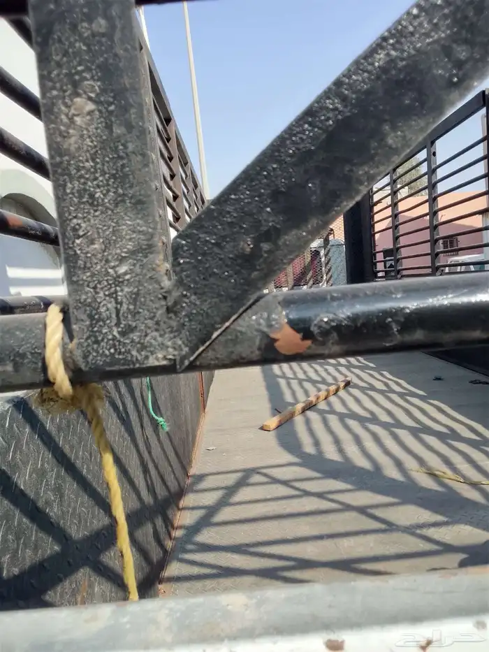 دينا لوري ايسوزو 2013 مكينه وجير شرط 1